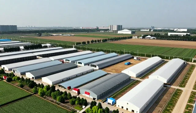 提升温室大棚设备运行效率的实用维护策略